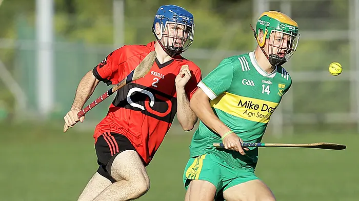 St James’ hurlers turn on the style to land Carbery U21C title Image