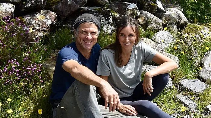 West Cork’s Hidden Haven: How an off-grid dream became a high-end eco-success Image