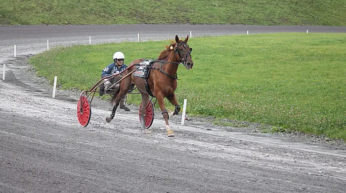 Gavin Harrington has a day to remember with double at Lyre Image