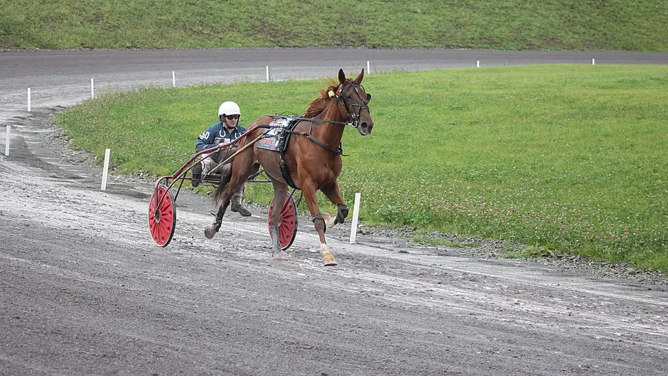 Gavin Harrington has a day to remember with double at Lyre Image