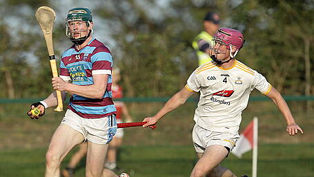 Ibane Gaels dig deep to capture Carbery U21A hurling title Image