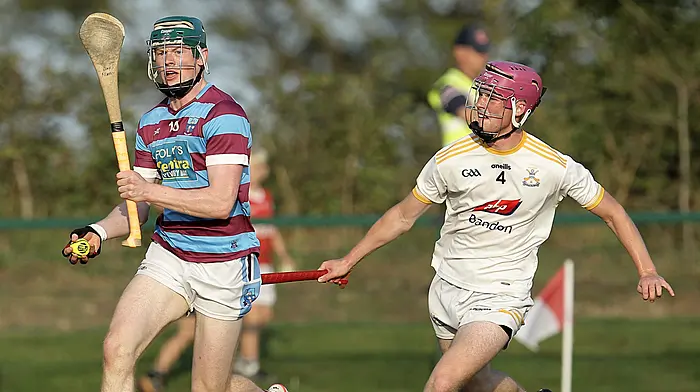 Ibane Gaels dig deep to capture Carbery U21A hurling title Image