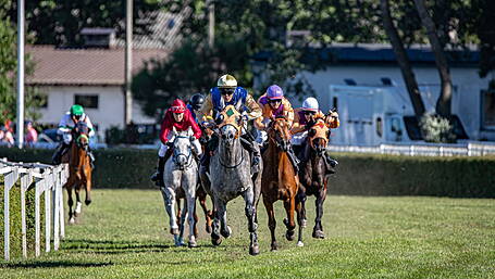 The Cork Races Starlets Who Could Be Irish Champions This September Image