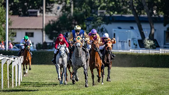 The Cork Races Starlets Who Could Be Irish Champions This September Image