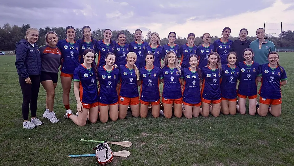 CAMOGIE ROUND-UP: Newcestown and Clonakilty set fast pace at premier intermediate level Image