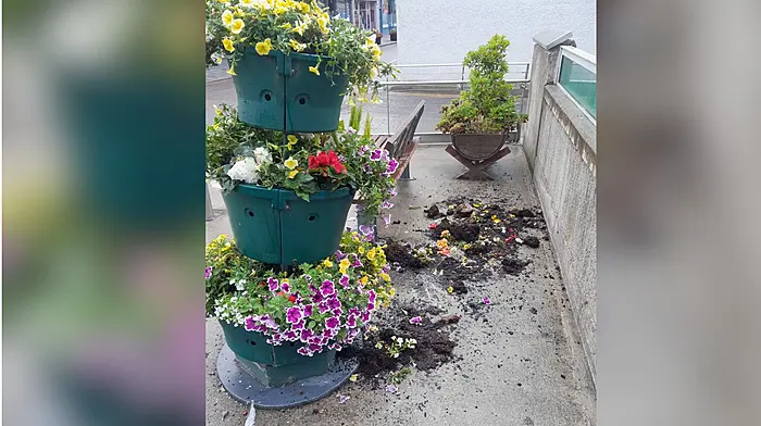 Tidy Towns volunteers hit out at vandalism which has decimated its tight budget Image