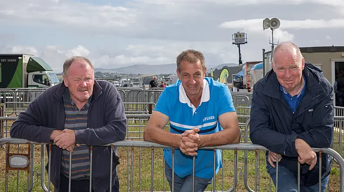 Gerald Burke (Keimaneigh), Kevin O'Connell (Bantry) and Tom Cunney (Kealkill) at the annual agricultural show that was held in Bantry.   (Photo: David Creedon)