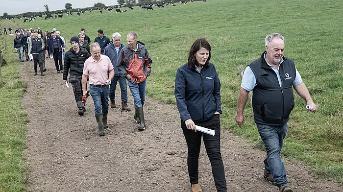 Farmers, advisors and industry stakeholders gathered on the farm of John Canty, Dairygold Grassroots Sustainability Award winner, at Farnivane, Bandon for a practical on-farm event focused on improving water quality across the Lee and Bandon-Ilen catchments. Gráinne Hurley (Teagasc regional manager for the Cork-West Region) and John O’Brien (Carbery chair) at the front and Dairygold Grassroots Sustainability Award winner and host John Canty (behind) as the group walks the farm.  The walk was hosted by Dairygold Co-operative Society in partnership with the Lee and Bandon-Ilen Catchment Implementation Group and under the Teagasc Better Farming for Water programme.