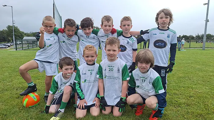 The Ilen Rovers U7 boys put in great performances last Saturday in the blitz at Ballinascarthy. Back: Finn O’Sullivan, Harry Coughlan, Oran Hannick, Iarla Casey, Sean Holland and Arlo Burch. Front: Donnacha Casy, Daire Duggan, Conor Keohane and Tiernan O’Driscoll.