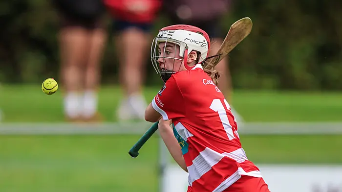 Linda Collins hits 4-5 to fire Courcey Rovers into the last four of senior camogie championship Image