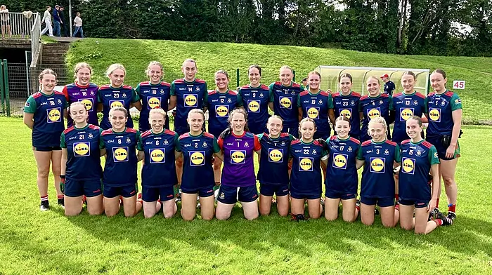Clonakilty and Castlehaven to collide in Cork LGFA senior B county semi-final Image