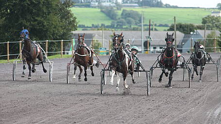 Sweet Royalty steals the show at Richard Phelan Memorial Weekend in Lyre Image