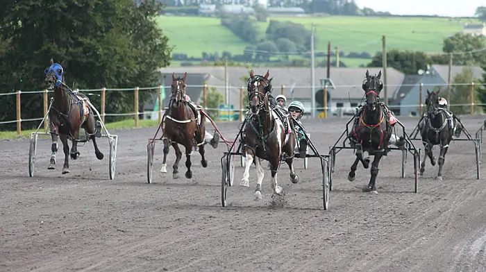 Sweet Royalty steals the show at Richard Phelan Memorial Weekend in Lyre Image