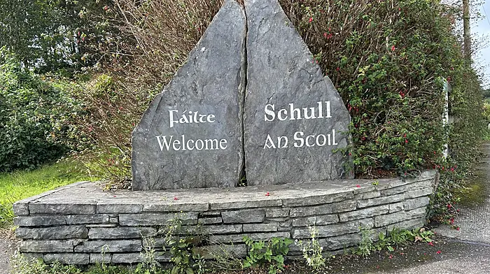 Appeal lodged opposing plans for eight new homes at estate overlooking Schull harbour Image