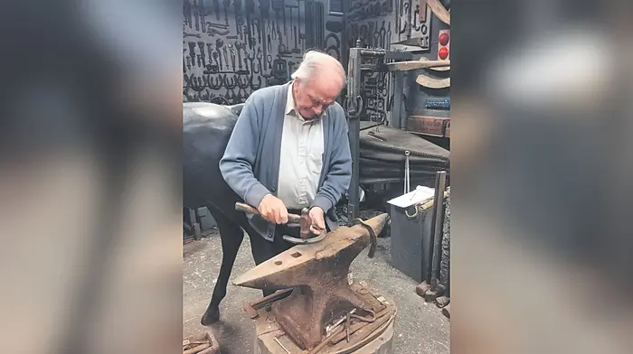 Heritage weekend in Schull set to celebrate best of land and sea Image