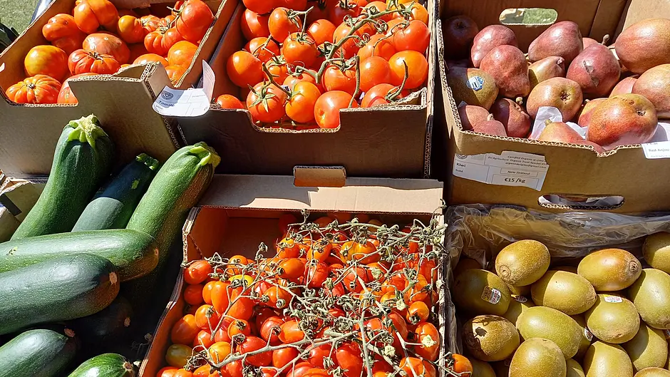 Macra call for protection of horticulture industry Image