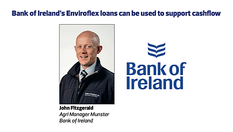 Bank of Ireland's Enviroflex loans can be used to support cashflow Image