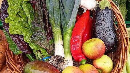From humble beginnings to three vans on the road for Caitríona’s Organic Republic Image