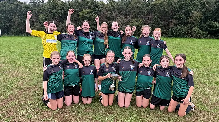 WEST CORK SOCCER: Castlelack United and Togher Celtic crowned champions Image