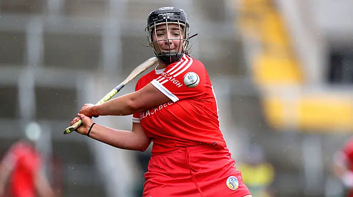 Courcey Rovers camogie player Linda Collins: Go out with a smile on your face Image