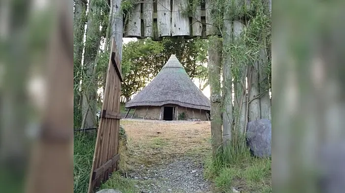 Push to reopen West Cork’s historic Lios na gCon ringfort gains momentum Image