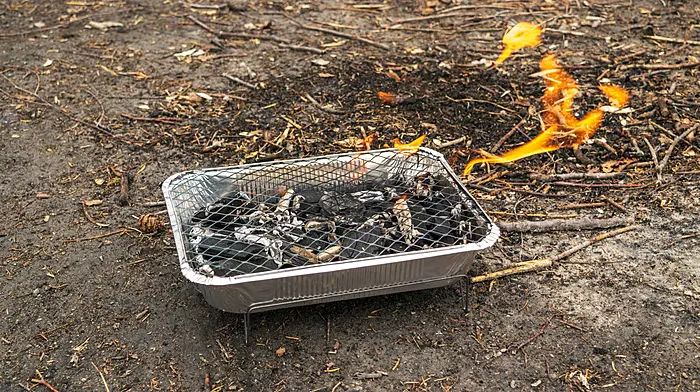 Legislation needed for ban on disposable barbecues Image