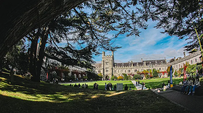 UCC comes fourth in international sustainability ranking Image