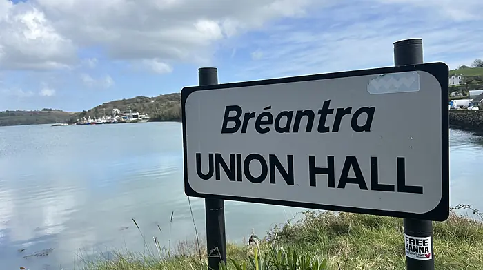 Union Hall to transform into  a village-wide art gallery Image