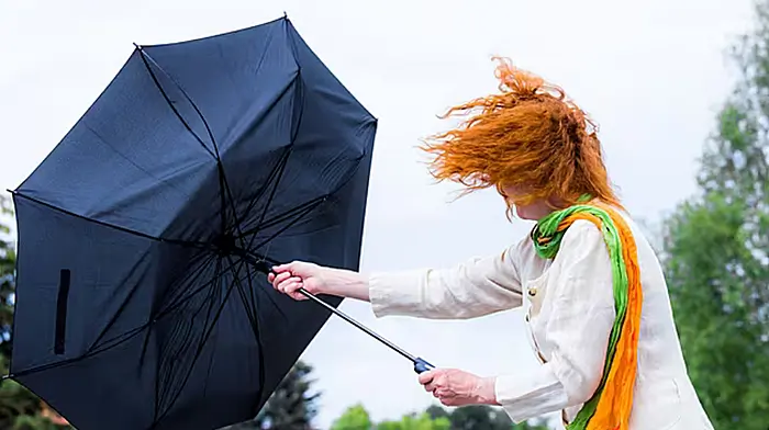 Status Yellow wind warning issued for Cork Image