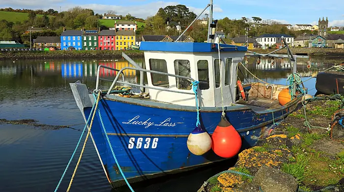 West Cork councillors push for pier landing derricks to assist local fishers and island mobility Image