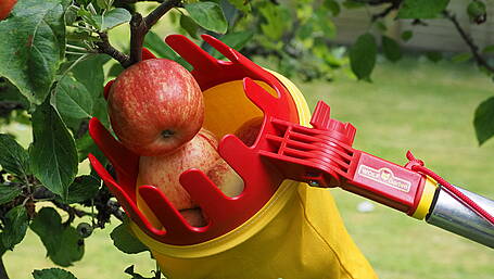 GARDENING: Time to lift, dig, tidy and plant as weather allows Image