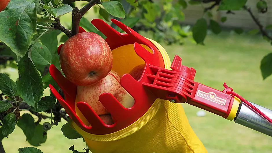 GARDENING: Time to lift, dig, tidy and plant as weather allows Image
