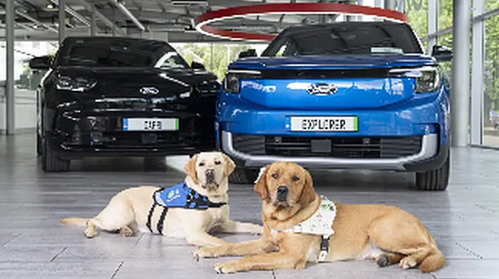 Drive for you community to raise fund for Irish Guide Dogs Image