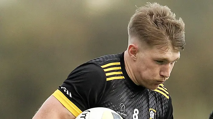 Matthew Sheehan confident Goleen can make an impact in Carbery JAFC quarter-finals Image