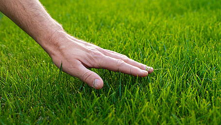 HOME AND GARDEN: Prep now for a great lawn next year Image