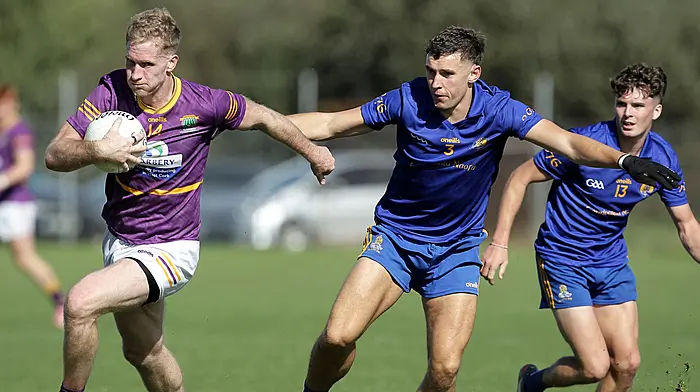 St Finbarrs goal blitz devastates Carbery Image