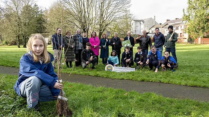 Tree-planting initiative announced for schools in Macroom Image