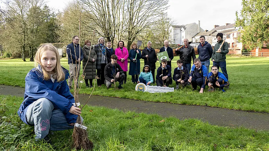 Tree-planting initiative announced for schools in Macroom Image