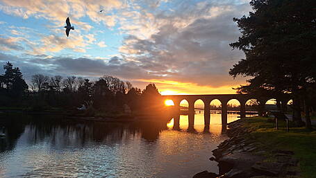 Reader’s Picture of the Week Image
