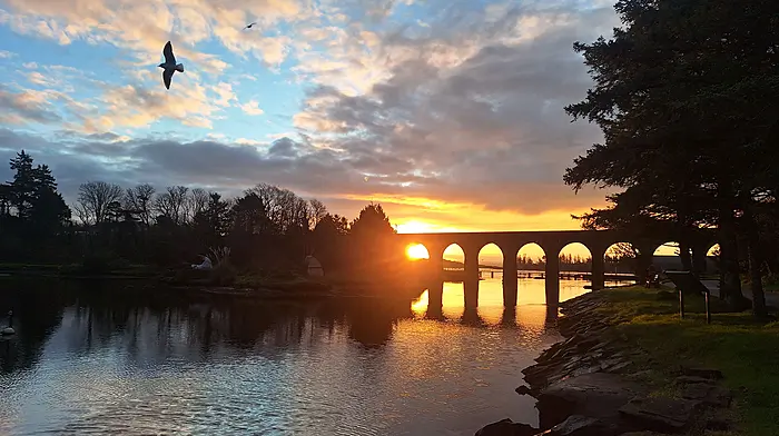 Reader’s Picture of the Week Image