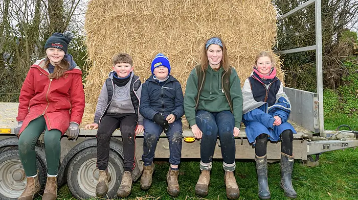 Katie O’Rourke (Timoleague), JT O’Driscoll (Kilbrittain), Tommy O’Rourke (Timoleague), Nelsa Ní Mhurchú (Kinsale) and Saoirse O’Driscoll (Kilbrittain) enjoying the ploughing. (Photo: David Patterson)