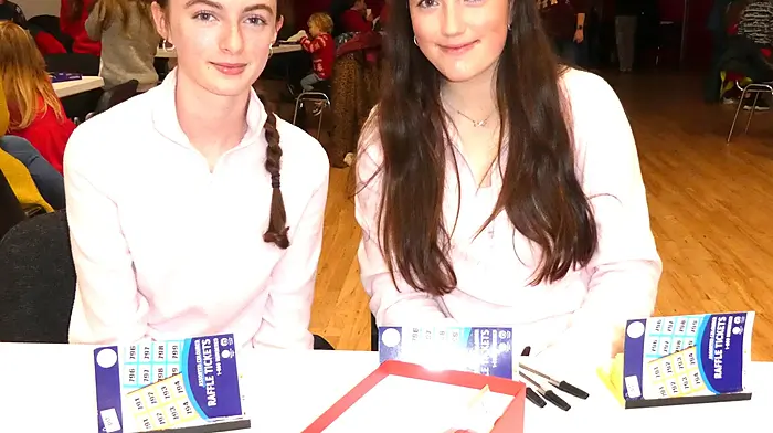 Ruby McCarthy and Aideen Murphy helping out at Ballinascarthy hall for the Santa afternoon. Both girls are involved in Foróige and are also Ballinascarthy camogie players.