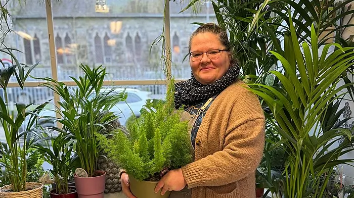 Clonakilty florist Edit Kakuk strikes a chord with plant music Image
