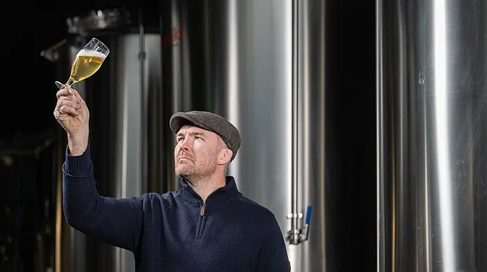 Former Munster player Peter O'Mahony launchces new non-alcoholic beer venture Image