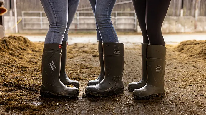 Wear our wellies for Embrace FARM Image