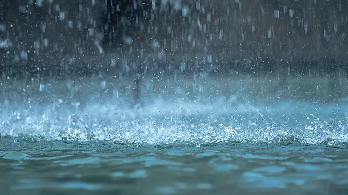 Weather Alert: Status Yellow rain warning issued for Cork and Kerry Image