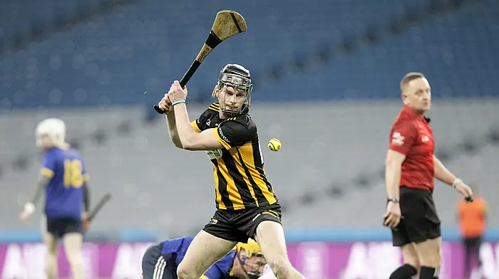TALKING POINTS: The dream end to Kilbrittain hurlers’ fairy-tale season Image