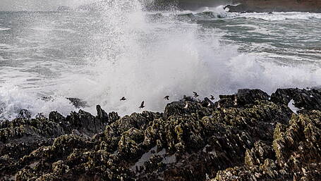 Storm Chandra: West Cork shaken, but east coast takes the brunt Image