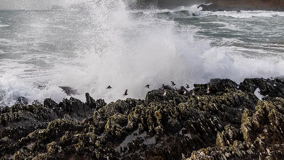 Storm Chandra: West Cork shaken, but east coast takes the brunt Image