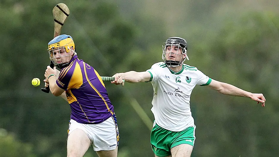 William Hourihane: Only way is up for Carbery hurling Image
